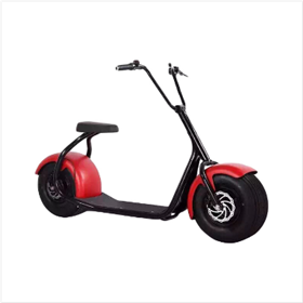 Two wheel citycoco harley electric scooter